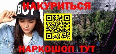 МДПВ Дубна